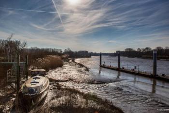 Amand'eau - zwemvijver, zonneterras, grote tuin, Sint-Amands (photo 5)