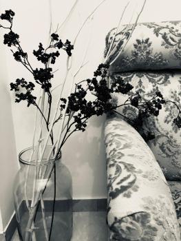 Fleur Blanche, Verona (fotografie 4)