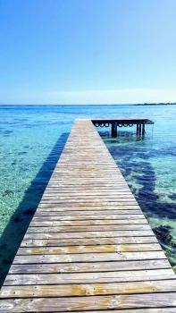 MOOREA - Tropical Soul, Hauru (foto 2)