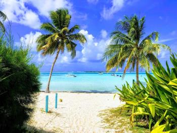 MOOREA - Tropical Soul, Hauru (foto 3)