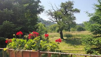 Bran 99, Bran (foto 4)