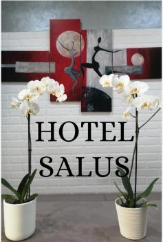 Hotel Salus, Milan (photo 2)
