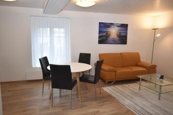 Centrally located 2BR - Color 23, Curych (fotografie 2)