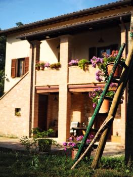 Arcadia, Spello (photo 3)