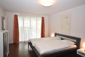 Stylish 2BR near lake - Flower 3, Zurigo (foto 3)