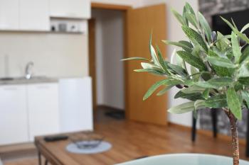 Millenium apartment, Soko Banja (foto 5)