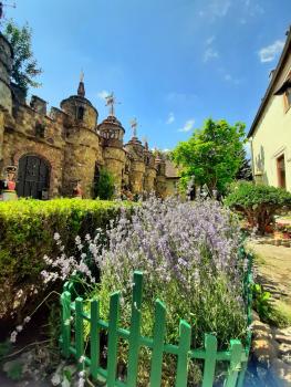 Усадьба-Музей, Tîrnauca (fotografie 4)