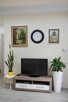 Apartment - Przy Rynku self check in 24h od 14 tej, Tarnowitz (Foto 3)