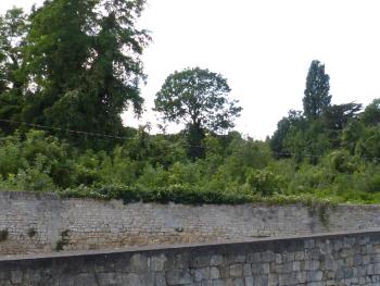 Vert Marin, Rochefort (foto 3)