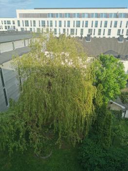 Kongensgate, koselig liten leilighet, 5 min unna sentrum, Kristiansand (foto 5)