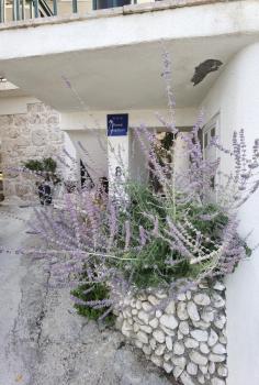 Manda Gradac, Gradac (fotografie 5)