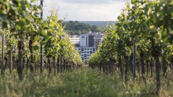 Holiday Inn - the niu, Form Stuttgart Feuerbach by IHG, Stuttgart (Foto 4)