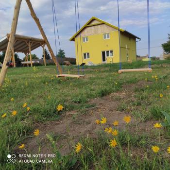 Mirella33, Palić (foto 3)