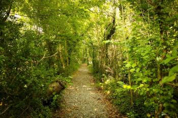 5* Self Catering, Nenagh (foto 4)