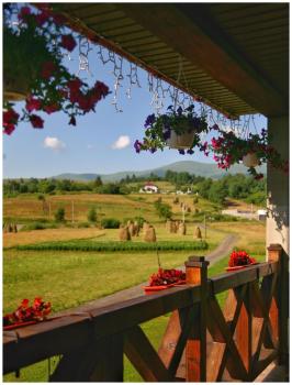 Карпатські Зорі, Pilipets (fotografie 3)
