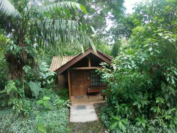 Arenal Oasis Eco Lodge & Wildlife Refuge, Fortuna (photo 5)