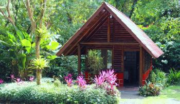 Arenal Oasis Eco Lodge & Wildlife Refuge, Fortuna (photo 2)
