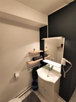Le Jasmin des Carmes - Hypercentre - Netflix, Toulouse (photo 5)