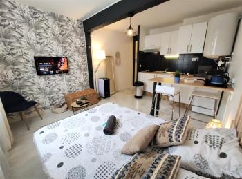 Le Jasmin des Carmes - Hypercentre - Netflix, Toulouse (photo 2)