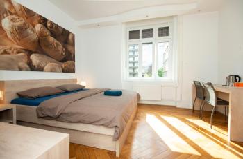 Viva Rooms, Ljubljana (Foto 3)