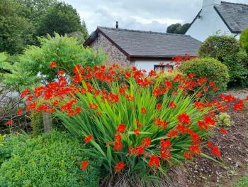 Auld Ffynnon, Brecon (foto 2)