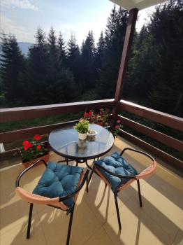 Green Studio, Predeal (photo 2)