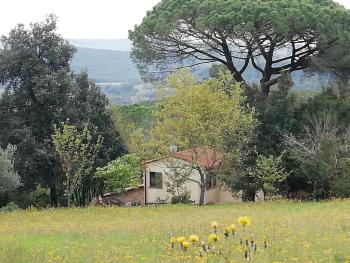 Casa Jacaranda, Monteverdi Marittimo (fotografie 5)
