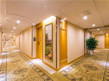 Vienna International Hotel Shanghai Pudong New International Exbition Central, Shanghai (photo 5)