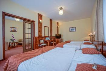 Hotel REDYK Ski&Relax - góry na wyciągnięcie ręki, Закопане (фото 4)