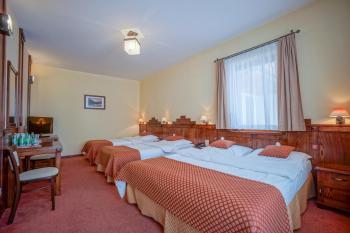 Hotel REDYK Ski&Relax - góry na wyciągnięcie ręki, Закопане (фото 5)