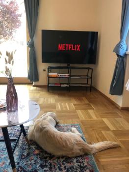 MILLIEs hosting - Familienurlaub mit Hund in Kärnten, Sankt Paul im Lavanttal (zdjęcie 4)