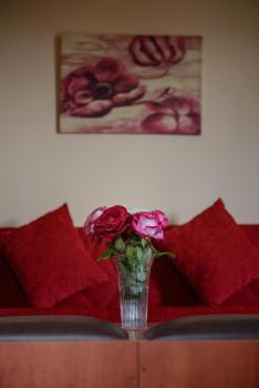 Idi Hotel, Zarós (fotografie 3)