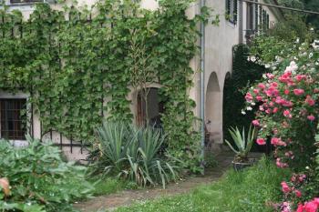 Poncet´sches Herrenhaus, Drezno (zdjęcie 3)