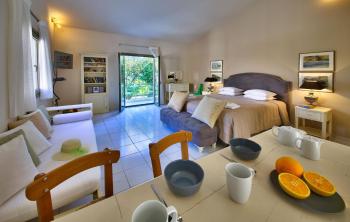 Mill Suites - Loggos, Gaios (photo 5)