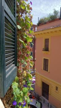Saint Peter Elegance Domus, Roma (foto 2)