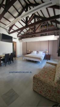 Apartamentos Torre de la Mezquita, Кордова (фото 5)