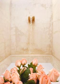 Rosas & Xocolate Boutique Hotel and Spa Merida, a Member of Design Hotels, Mérida (zdjęcie 4)