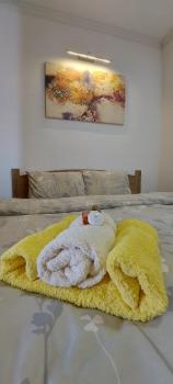 Apartment - Nane 2 - Krushevo, Kruševo (foto 2)
