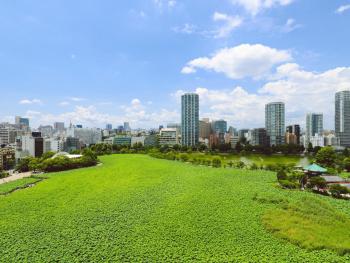APA Hotel Keisei Ueno Ekimae, Tokio (fotografie 4)