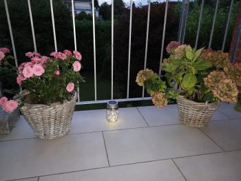 Ninas B&B - exklusiv für Frauen, Bremen (photo 5)