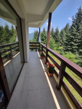 Green Studio, Predeal (photo 3)