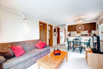 Mark IX #7 - Close to Town - Free Shuttle, Breckenridge (foto 5)