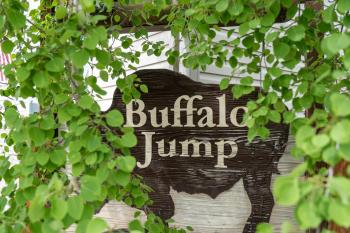 The Bison at Buffalo Jump, West Yellowstone (foto 2)