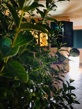 The Loft E&E Open Space, Empoli (fotografie 2)