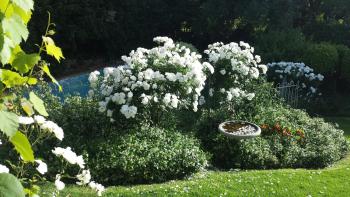 Three Oaks, Durbanville (fotografie 4)