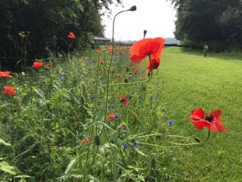 Kom in de Bedstee Magie!, Winterswijk (photo 5)