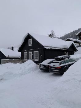 Endely - ski inn / ut, Rauland (foto 2)