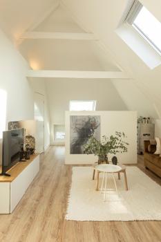 Huize Copes apartment Den Haag, 2 bed, 2 bath, Haga (zdjęcie 5)