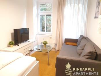 Ruhiges Hinterhof Apartment im Herzen der Neustadt, Drážďany (fotografie 3)