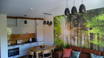 Apartament DeLux 2, Sklářská Poruba (fotografie 3)